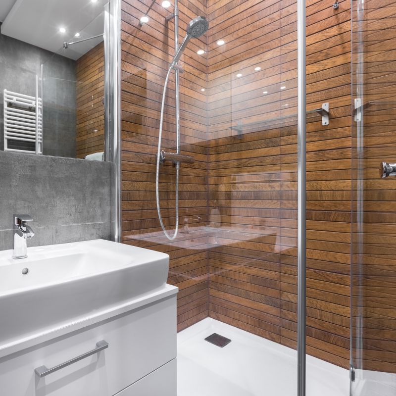 Contemporary Shower Interior